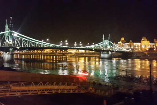 Budapest Liberty Bridge at Night