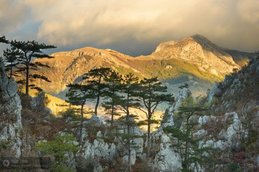 Carpathian mountains © Dan Dinu