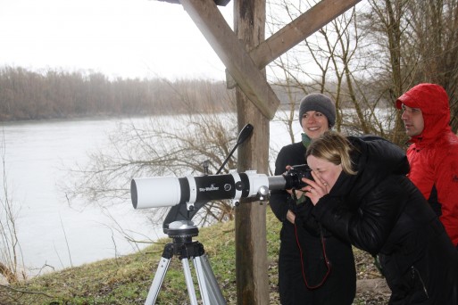 Visit of bird watching tower