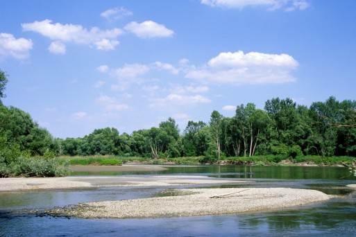 Natural Border Mura between Slovenia and Croatia