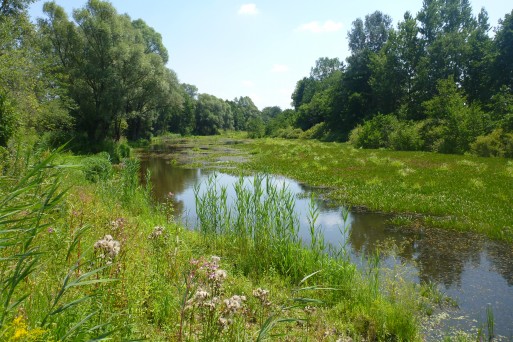 Oxbow lake Nagy Parlag