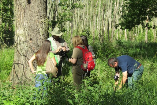 Project partners in floodplain forest near Elbe River, Dessau