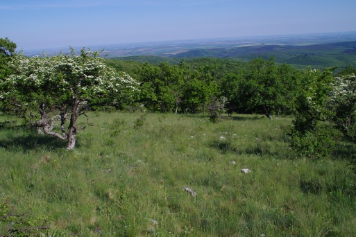 Bukk National park, Hungary