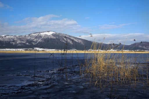 Notranjska regional park, Cerknica intermittent lake, Slovenia