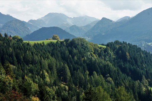 Kalkalpen National Park (Udo G.)