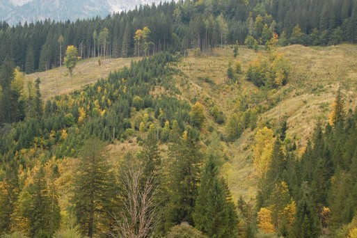 Hengstpass trail (Jošt S.)