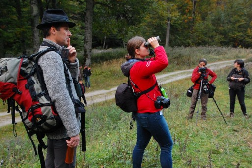 Red deer observation (Jošt S.)