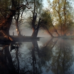 UNESCO Biosphere Reserve Bačko Podunavlje designated!