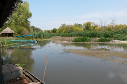 Carska bara, Serbia, August 2017.jpg