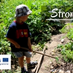 GOOD PRACTICE EXAMPLE: STROMOVKA COMMUNITY GARDEN