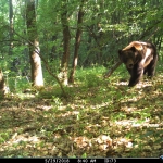 Spotting an ecological corridor. Case study: Pilot area Tirgu Mures-Iasi (Romania)