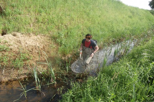 Field research on Umbra crameri