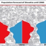 Interview with demographers