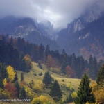 Big expectations for Piatra Craiului National Park as new methodology for ecological corridors identification will be designed for the Carpathian region