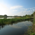 World Wetlands Day 2019- Future on the Wetland Border