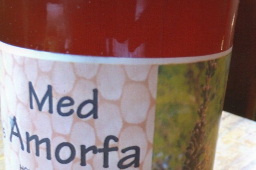 Amorpha honey_Hartmut Ern.jpg