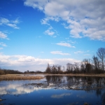 LOCAL STAKEHOLDER WORKSHOP IN SPECIAL NATURE RESERVE ZASAVICA, SERBIA