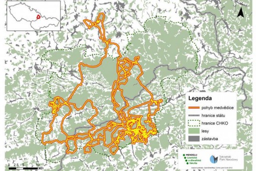 Bear Ema journey_from may till 1aug2019 @AOPK ČR, Mendel university Brno,Tatrzański Park Narodowy, Polska Akademia Nauk,Hnutí Duha.jpg