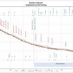 First Sediment Balance of the Danube