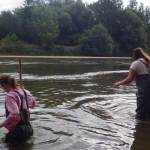 FIELD SURVEY OF STERLET’S FEEDING PLACES ON MURA RIVER