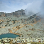 Ecological corridors workshop brings together Romanian authorities, academia, PAs, experts, NGOs