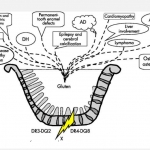 Lecture to improve knowledge of medical student