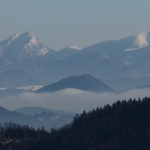 Impacts of landscape fragmentation on wildlife in the Beskydy-Kysuce pilot area