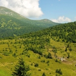 Zakarpattia pilot area: a critical eco-corridor at the geographical heart of Europe