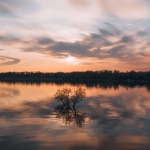 Conservation and restoration of wetlands is a matter of preserving life on the planet