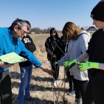 Tree planting in the Biosphere Reserve Lower Mura-Valley