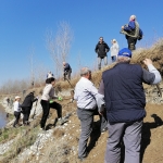 Cleaning of the steep river bank on the river Drava for Sand martins