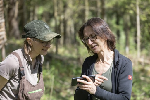 waldverband11052022_198.jpg