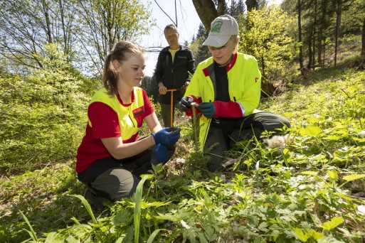 waldverband11052022_193.jpg