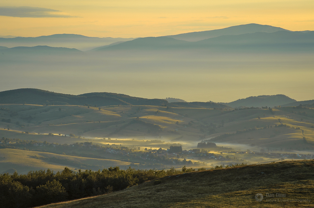 The biodiversity in the Carpathians is at the heart of the TRANSGREEN Project, which is looking for solutions for large infrastructure development with low impact on nature in our region. 